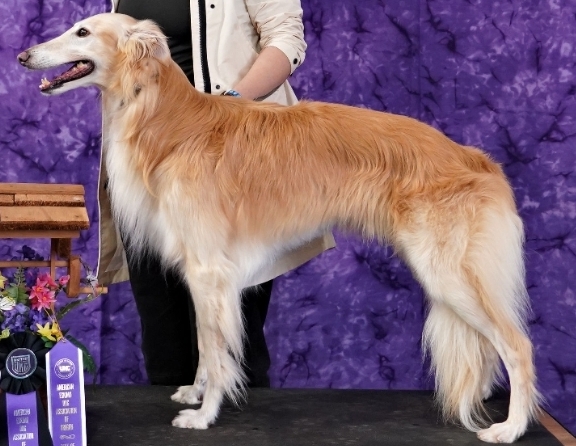 Photo of Clayborn's Lightning Bug