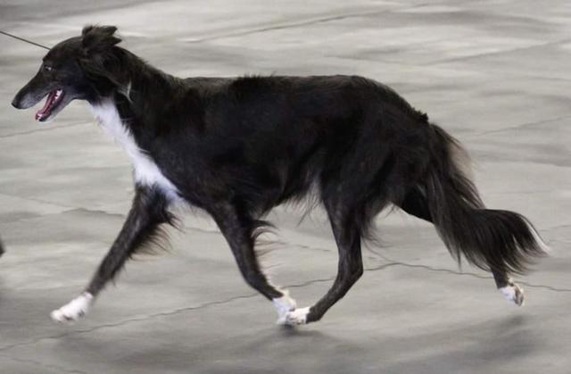 Photo of Clayborn's Peekaboo