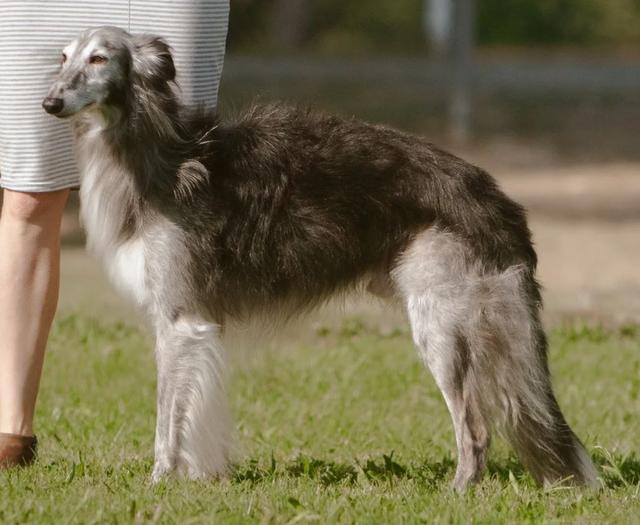 Photo of Clayborn's Silverton