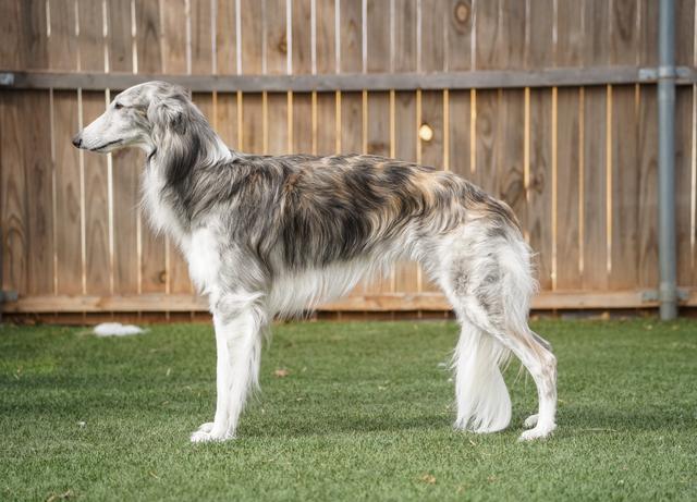 Photo of Daybreak Double Take