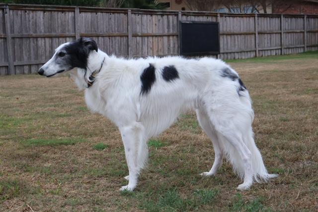 Photo of Daybreak What a Dream