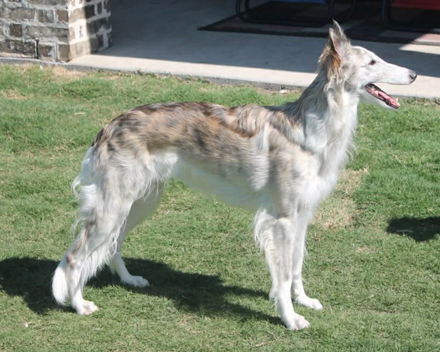 Photo of Empyrean Altair