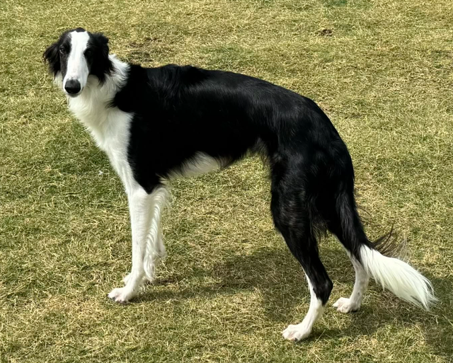 Photo of Empyrean Brazos River