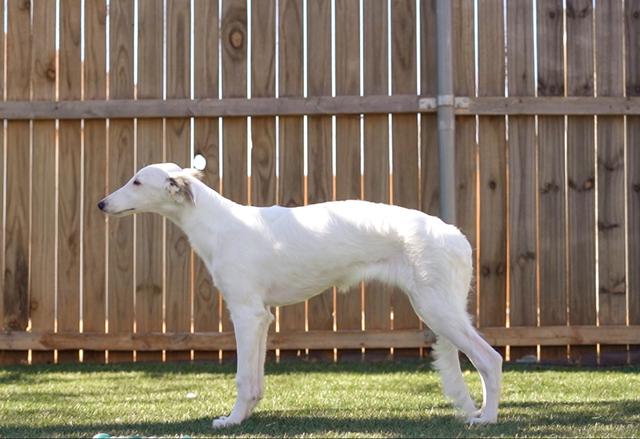 Photo of Empyrean Caffe Misto