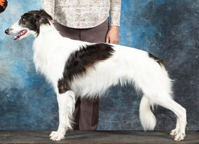 Photo of Empyrean Happily Ever After