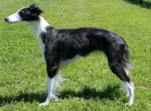 Photo of Empyrean Harvest Moon