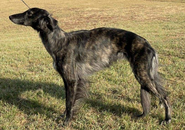 Photo of Empyrean Inside Out