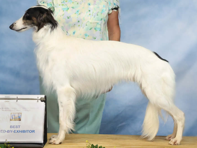 Photo of Empyrean Superconductor