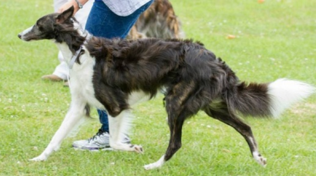 Photo of Endevor Flashdance