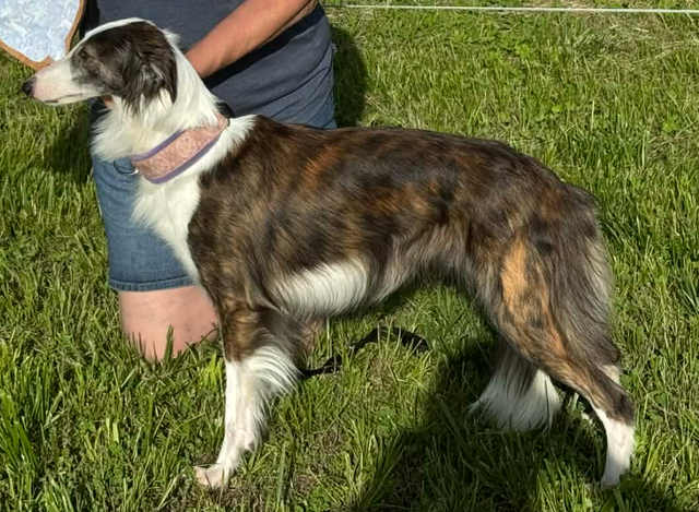 Photo of Entourage A Touch of Class