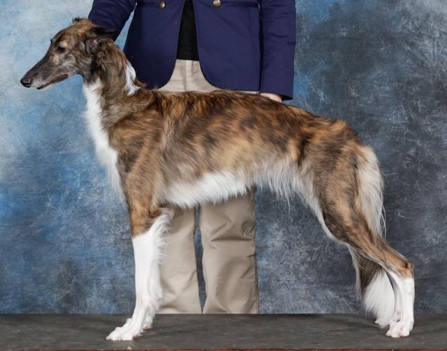 Photo of Entourage One of a Kind