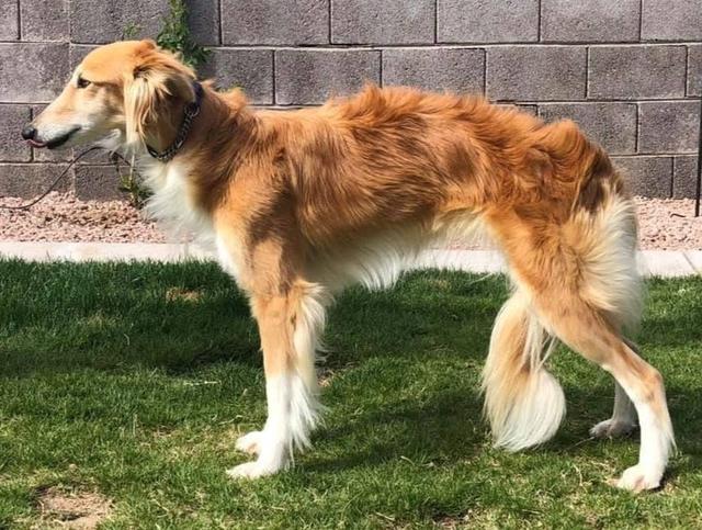 Photo of Entourage Red Hot