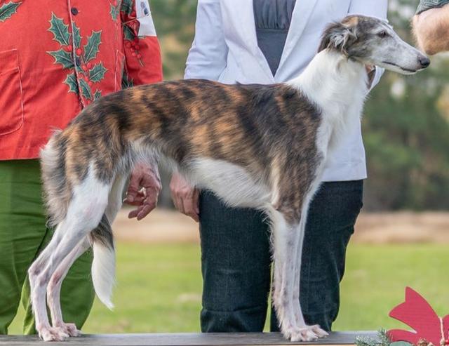 Photo of Entourage Royal Flush