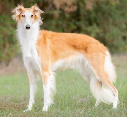 Photo of Entourage She's Epic