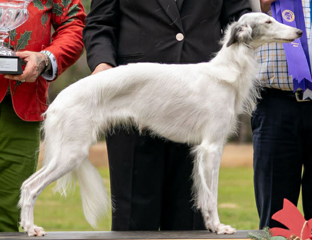 Photo of Entourage Story Teller