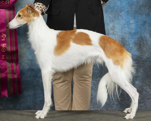 Photo of Entourage Texas Hold'em