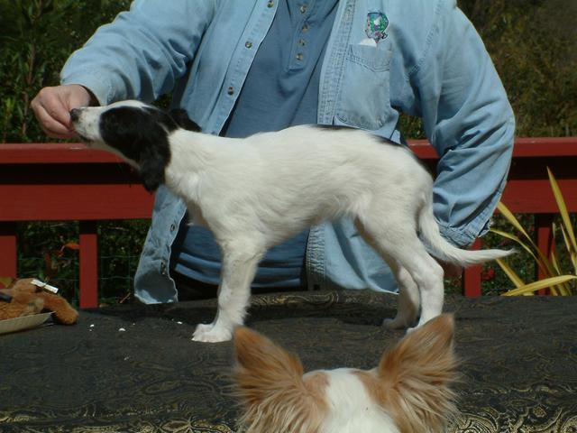 Photo of Evening Wind's Foehn