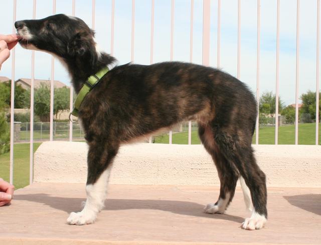 Photo of Fantasy Farms Aida