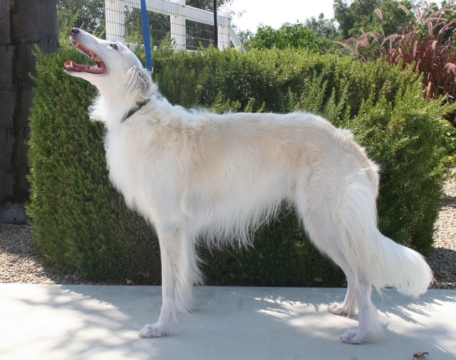 Photo of Fantasy Farms Sullivan