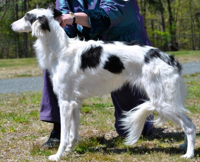Photo of Firebird F-101 Voodoo Kinobi