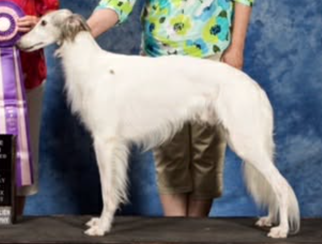 Photo of Gryffyn's All The Right Moves