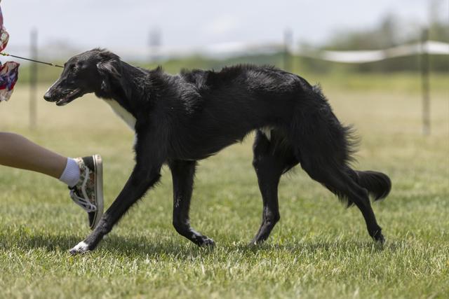 Photo of Hunters Run Big Day WNS