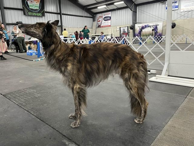 Photo of Imperial 24K Anaheim