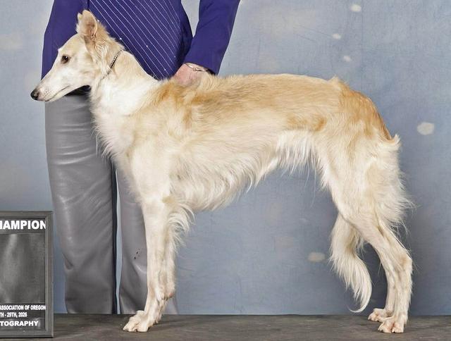 Photo of InPhenite Kadlec Wasabi