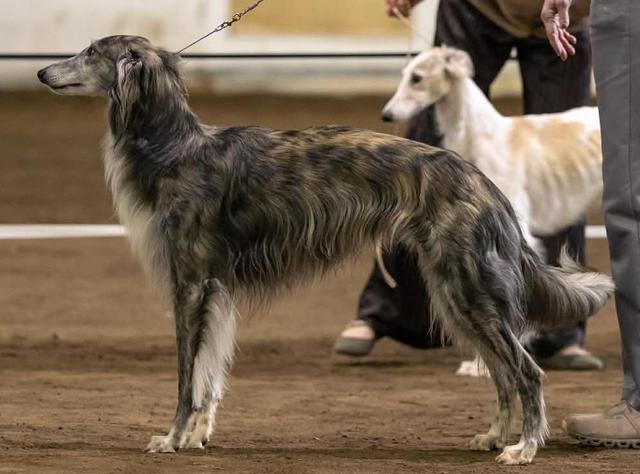 Photo of InPhenite Mount Wycheproof