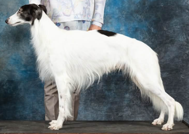 Photo of JusRics Empyrean All of Me