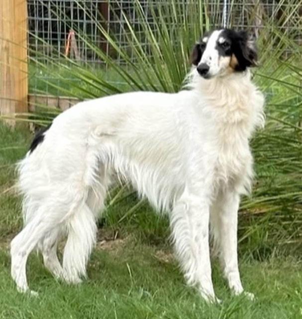 Photo of JusRics The Poetry Man