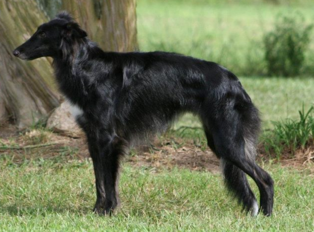 Photo of K-C Windsheer Victoria Falls