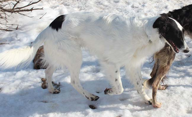 Photo of K-C's Born On The Bayou