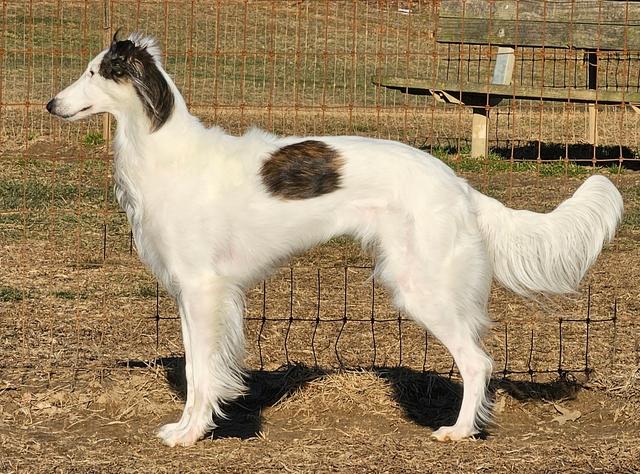 Photo of Kadlec Beneath Still Waters