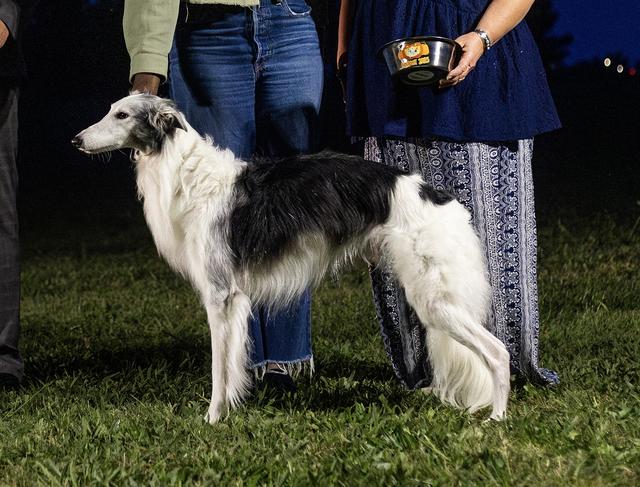 Photo of Kadlec Love Me Tender