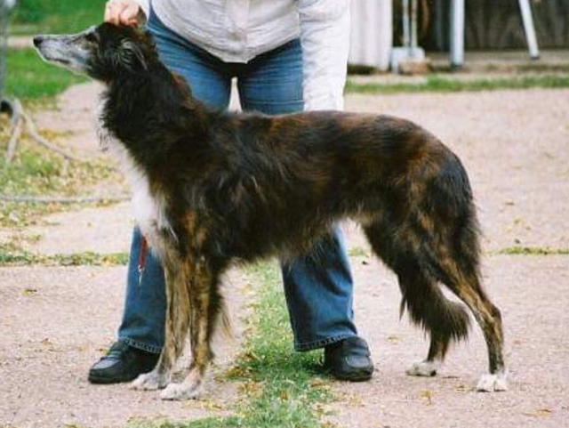 Photo of Kristull Annikin