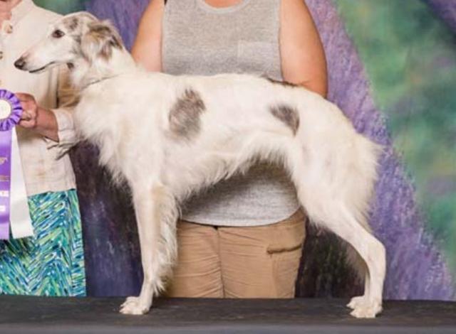 Photo of Kristull Confetti