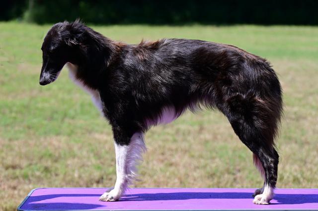 Photo of Kristull Cosmic Dark Matter