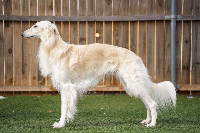 Photo of Kristull Fiber Optic