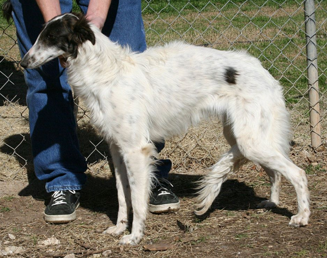 Photo of Kristull Figment