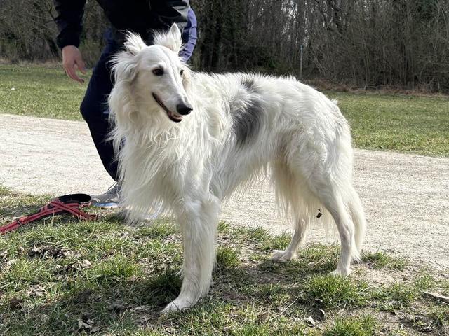 Photo of Kristull Legolas