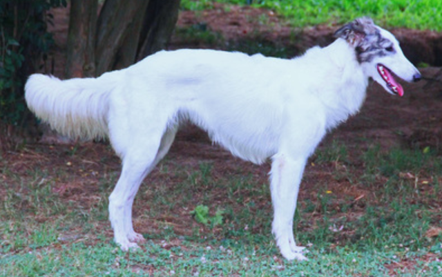 Photo of Kristull Mythical Music