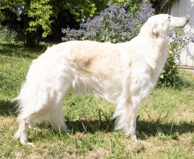 Photo of Kristull Q'Lover