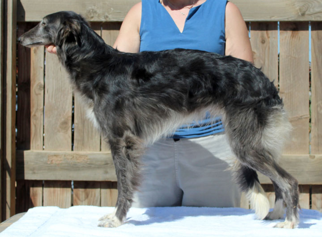 Photo of Kristull Satsuma Just a Kiss