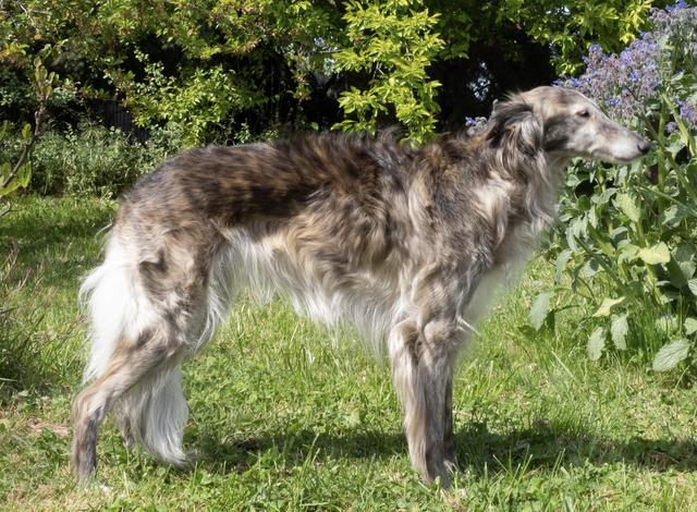 Photo of Kristull Trouble With Tribbles