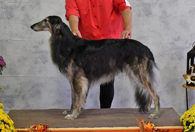 Photo of Kristull Unchained Tryst