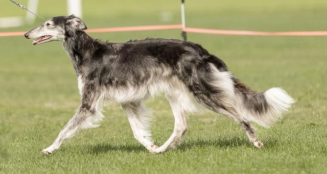 Photo of Kristull Vanishing Point