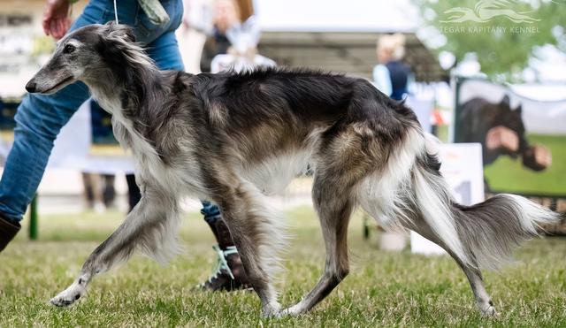 Photo of Legacy Best of My Love