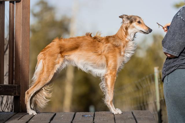 Photo of MoonRiver's Some Like It Hot