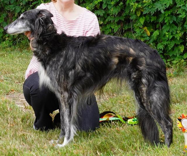 Photo of Moonchild Of SilkenJoy